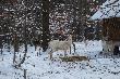 Tu kolejna chmara spotkana w po�udnie przy pa�niku... 