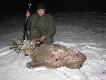 Pierwszy �nieg i pierwsze wyj�cie od d�u�szego czasu. W planach by� lis lub lis ewentualnie lis...