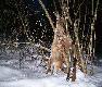 Kawaler wieczorem wybra� si� na panny,to i spotka�...moj� Dzidzi� ;)