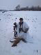 Przyszed� na Predatora.Strza� na 120metr�w.
