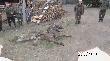 Pokot z ko�a ,Trop'
