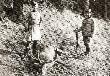 Cesarz z bykiem, kt�rego strzeli� 28 wrze�nia 1898 r. Poro�e mia�o 44 odnogi.