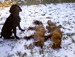 Sobotni wypad w �owisko