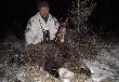 13 luty 2012. A nie m�wi�em,�e 13-tka jest pechowa...bynajmniej dla tego dzika napewno.(16) Przelatek m�ski,waga w skupie r�wno 50kg.