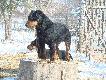 przez te mrozy obr�s� futrem jak borsuk sad�em 