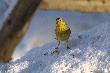 ��te te� jest �adne :-)