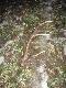 M�j pierwszy 14-stak w �yciu