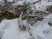 Dzisiaj zn�w si� poszcz�ci�o �wie�y wid�ak 