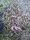 Pierwszy w �yciu 16-nastak 