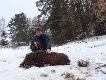 Kolejny lutowy dziczek(28kg) Na �er wysz�y wcze�nie - ju� przed 15 wr�cza�em ostatni k�s. Ob. 75