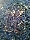 12-stak A 12-stak 
Mia�em tam nie jecha� zawsze m�wi�em �e to �mieszny las dzisiaj zblad�em...