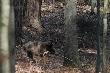 Po kolejnych kilku minutach niespodziewanie od ty�u do miotu wszed� ten �aciatek.