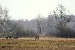 Kto by chcia� ogl�da� �anie w sezonie zrzutowym. 10-03-2012