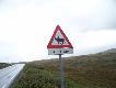 Foto 94: Teraz rysunki wsp�lczesne, i to nie naskalne: 
..r�ni si� bardzo od renifera norweskiego.