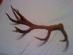 Dolny obw�d 18cm