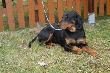 Amigo z Gwardii S�upsk