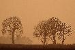 S�o�ce, mg�a i takie jakie� dziwne �wiat�o; ni to zima, ni to wiosna... 