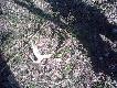 24.03 spacer z �on� i psem zaowocowa� najpierw zesz�oroczn� �opatk�