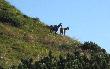 W drodze na Giewont latem 2011.