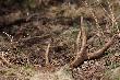 Id�c z "g�ow� w chmurach" wszed�em na tego 12 taka.