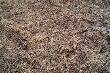 Dzi� jak narazie to zesz�oroczny �smak a przechodzi�em t�dy kilkana�cie razy i dopiero dzi� go zauwa�y�em
