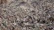 04-03-2012 podnios�em go 60 metr�w od auta. Zesz�oroczny 10-tak widliczny