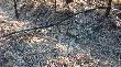 24-03-2012 Niestety i ten te� by� stary