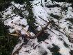 Troch� z op�nieniem wstawione zdj�cia :)