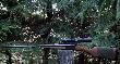Ekspress  I� Bajka� MP-221 Artemida kal.30-06 Sprg. + Delta Optical Titanium 1-4x24 
