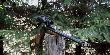 Ekspress  I� Bajka� MP-221 Artemida kal.30-06 Sprg. + Delta Optical Titanium 1-4x24 