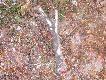 pierwszy raz w �yciu takie co� znalaz�em...