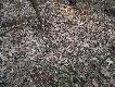 Dzi� trafi�em na takiego staruszka 3.04.2012