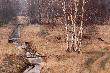 Ostatnie ciel� nie mog�o zdecydowa� si� na skok lub przej�cie na mokro. Chmara po godzinie czekania zawr�ci�a w ca�o�ci. 