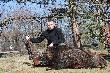 pierwszy odyniec z prawdziwego zdarzenia. Wspaniale wspomnienia z polowania. Waga 78kg