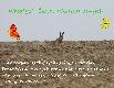 WESO�YCH �WI�T