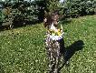 ZDROWYCH I POGODNYCH �WI�T ORAZ MOKREGO DYNGUSA �YCZ� MARCIN&FINKA