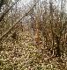 12-04-2012 10-tak 1.30kg Tak go dojrza�em,przeszed�em 10m po krzaczorach i jest 3 w tym sezonie:)