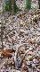 31-03-2012 T� par� moge nazwa� "fuksem �wiata"