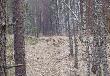 Niedzielne spotkanie z 14-stk� pasiak�w:)
