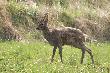 Niby du�y ch�opak a sika gdzie popadnie :-)
