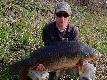 Wiosenny karp 86cm. i 13kg. 