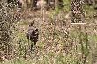 14-04-2012. Niestrza�owy