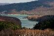Solina z dzi�.