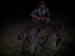Pocz�tek d�ugiego weekendu udany... dublet przelatk�w, zaczynam przekonywa� si� do nowej 9-tki, obydwa na komor� i pad�y w ogniu. Tikka 9,3x62 S&B 2,5-10x56 ammo geco TMR