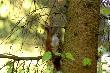 weekend weekendem, ale spi�arnia pusta ... ;-))