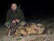4 dzik tego sezonu Hubert jest dla mnie �askawy...Dzik mia� odstrzelony przedni bieg,wa�y� 35 kg.