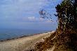 G�ski. 3.5.12