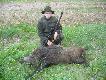 4 dzik  w sezonie pozyskany 3.05.2012. Ok godz. 22:30 na upraw� pszenicy wychodz� 2 przelatki, strza� na ok 60m w kark.(10 dzik w karierze �owieckiej). Darz B�r