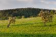 Ar�am�w