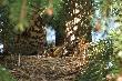 Wierzy� si� nie chce w jakim tempie rosn� :-D